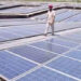Adani Green to buy 75 MW solar capacities of Sterling & Wilson for Rs 446 cr