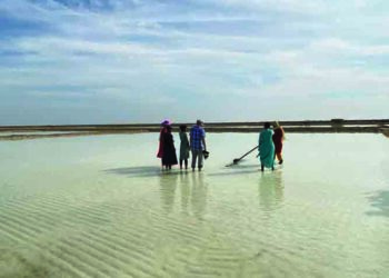 Health camp for salt workers on Dandi March route organized in Gujarat