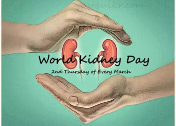 Ayurvedic formulations can help rejuvenate ailing kidney cells, say researchers