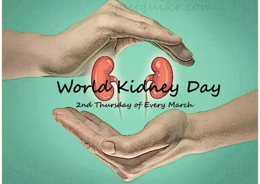 Ayurvedic formulations can help rejuvenate ailing kidney cells, say researchers