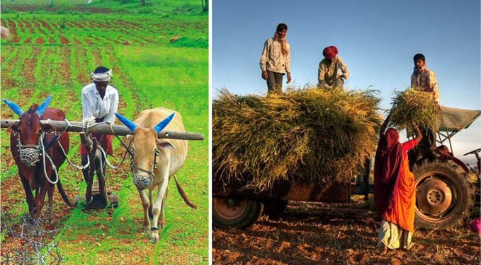 Budget Session: Gujarat to hold agriculture census this year, says Minister Faldu