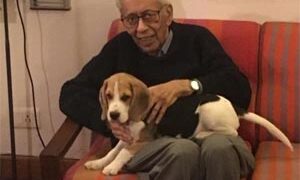 Former Gujarat cadre bureaucrat Sanjivi Sundar dies of COVID