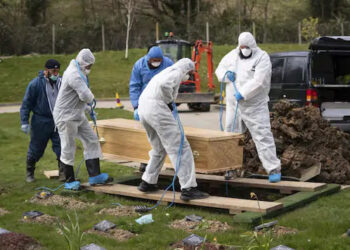 COVID-19: Gujarat sees single-day spike of 13,804 cases, 142 deaths