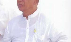 Veteran BJP leader of Gujarat Dattaji Chirandas dies of COVID-19 at 80