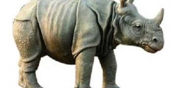 Delhi HC allows Ahmedabad-based religious trust to retain hippo of Asiad Circus