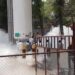 22 COVID-19 patients die after oxygen tank leak in Nashik; govt orders probe