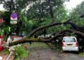 Central team in Gujarat for cyclone damage assessment