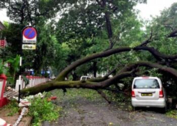 Central team in Gujarat for cyclone damage assessment