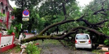 Cyclone Tauktae leaves behind trail of destruction in Gujarat, UT Diu; 4 dead: Air Force to the rescue