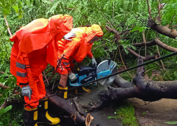 Cyclone Tauktae Ravages Coastal Districts In Maharashtra: Over 18 Lakh Left Without Electricity