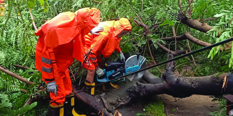 Cyclone Tauktae Ravages Coastal Districts In Maharashtra: Over 18 Lakh Left Without Electricity