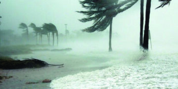 Heavy rains lash Kerala; water level rises in many dams