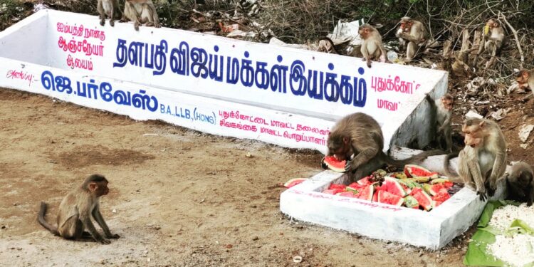 Thalapathy Vijay Makkal Iyakkam opens water tank, food bank for monkeys in Pudukkottai