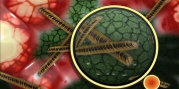 After COVID-19 recovery, Ahmedabad teenager detected with black fungus; undergoes surgery 