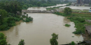 Environment: Implement Vishwamitri river action plan in 3 months, NGT tells authorities