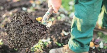 IIT Mandi-University of California led team develops software to predict movement of contaminants through soil structure