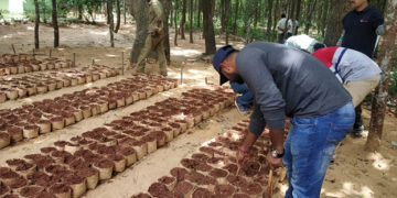 World Environment Day: TKM celebrates Environment Month, rolls out month-long eco activities themed ‘Ecosystem Restoration’