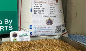GI certified Bhalia variety of wheat exported to Kenya, Sri Lanka from Gujarat: Commerce Ministry