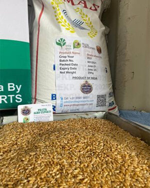 GI certified Bhalia variety of wheat exported to Kenya, Sri Lanka from Gujarat: Commerce Ministry