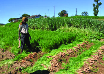 LEAF to leverage satellite tech for mapping harvest estimation, improve productivity