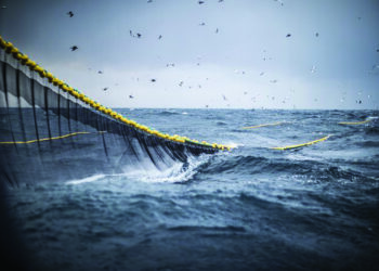 Sri Lankan Navy chase away TN fishermen, ‘damage’ fishing nets