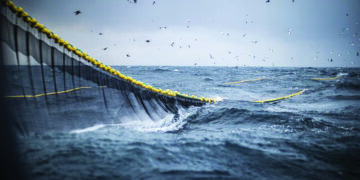 Sri Lankan Navy chase away TN fishermen, ‘damage’ fishing nets
