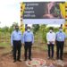 Hyundai Motor India Foundation takes up maintenance of 5000 trees in SIPCOT Industrial Park