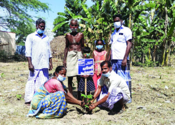 Cauvery Calling celebrates Vana Mahotsavam by facilitating plantation of 25K trees in 5 TN dists