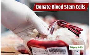 Healthcare: Blood stem cell transplant boon for blood cancer and blood disorder patients