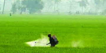 Heranba Industries gets green nod for Rs 110 cr expansion plan in Gujarat