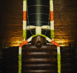 Dhyanalinga premises of Isha Yoga Centre to remain closed for visitors due to coronavirus pandemic