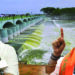 Mekedatu Reservoir Issue: TN BJP President Annamalai Threatens to Go On Hunger Strike