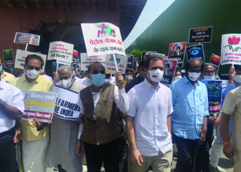 There Was No Parliament Session For 60% Of Country: Rahul Gandhi