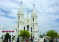 COVID 10: annual festival of Shrine Basilica at Vailankanni to be held sans devotees