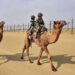 BSF apprehends Pakistani teenager for crossing India-Pak border in Kutch