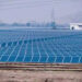IVY Capital launches Solar Optimal Solution to help sustain small-scale solar project developers