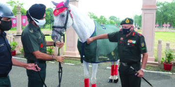 OTA horse ‘Prince’ awarded GOC-In-C ARTRAC commendation 