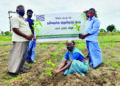 TN farmers plant 1.23 lakh saplings to mark 64th birthday of Sadhguru