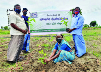 TN farmers plant 1.23 lakh saplings to mark 64th birthday of Sadhguru
