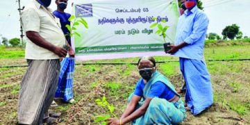 TN farmers plant 1.23 lakh saplings to mark 64th birthday of Sadhguru