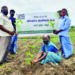 TN farmers plant 1.23 lakh saplings to mark 64th birthday of Sadhguru