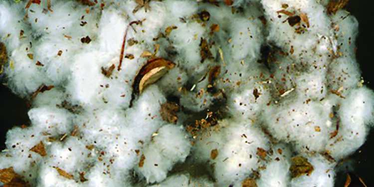 TN Assembly: CM Stalin announces cancellation of market levy on cotton, cotton waste