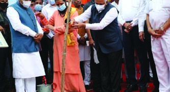 CM plants 71K saplings, inaugurates ‘Narendra Modi Van’ in Ahmedabad