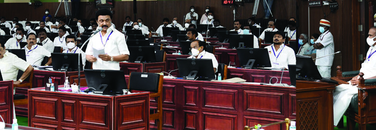 TN govt will celebrate Thanthai Periyar’s birth anniversary as social justice day, announces CM Stalin
