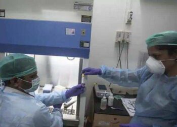 COVID-19: Gujarat logs 17 new infections
