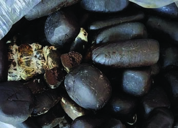 Mumbai police seize vehicle with Charas worth over Rs 14 Cr; 2 women among 4 taken into custody