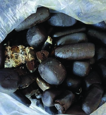 Mumbai police seize vehicle with Charas worth over Rs 14 Cr; 2 women among 4 taken into custody