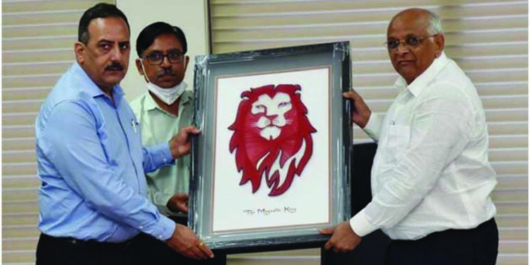 Wildlife Week Celebration: Population of Gir lions rises by 29 pc in 5 years, says CM Patel