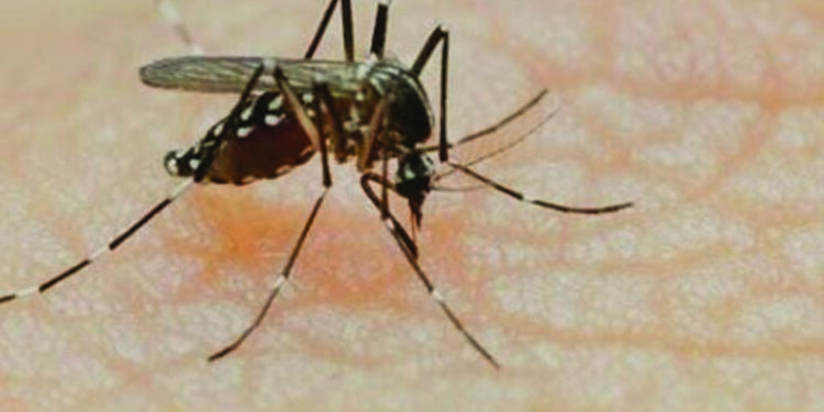 Nearly 500 affected due to dengue, says TN Health Minister