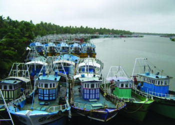 Centre to extend Kisan Credit Card to fishermen; loans will be provided at low interest rates